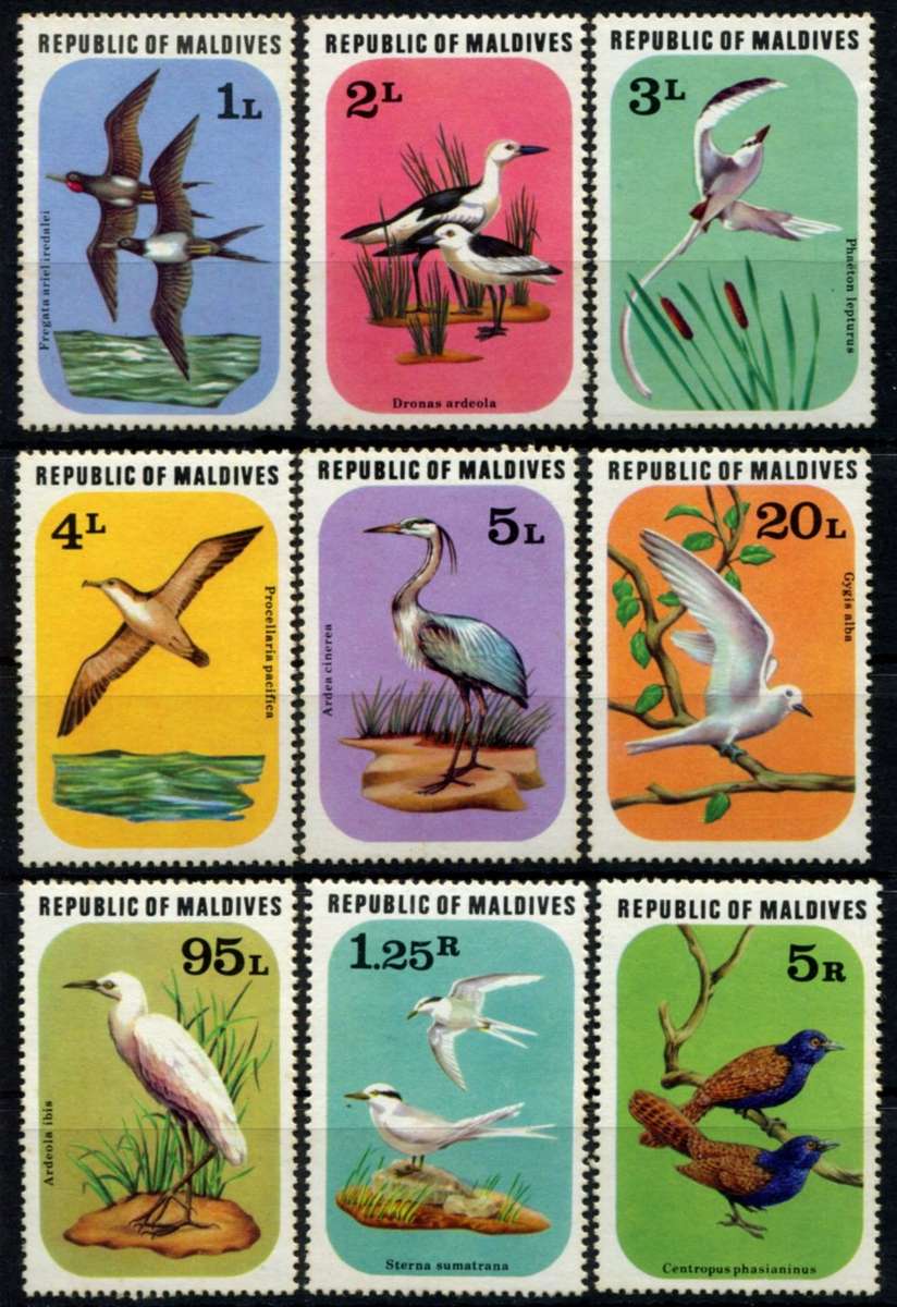 Maldives - Birds - 1977 - MNH - Toned