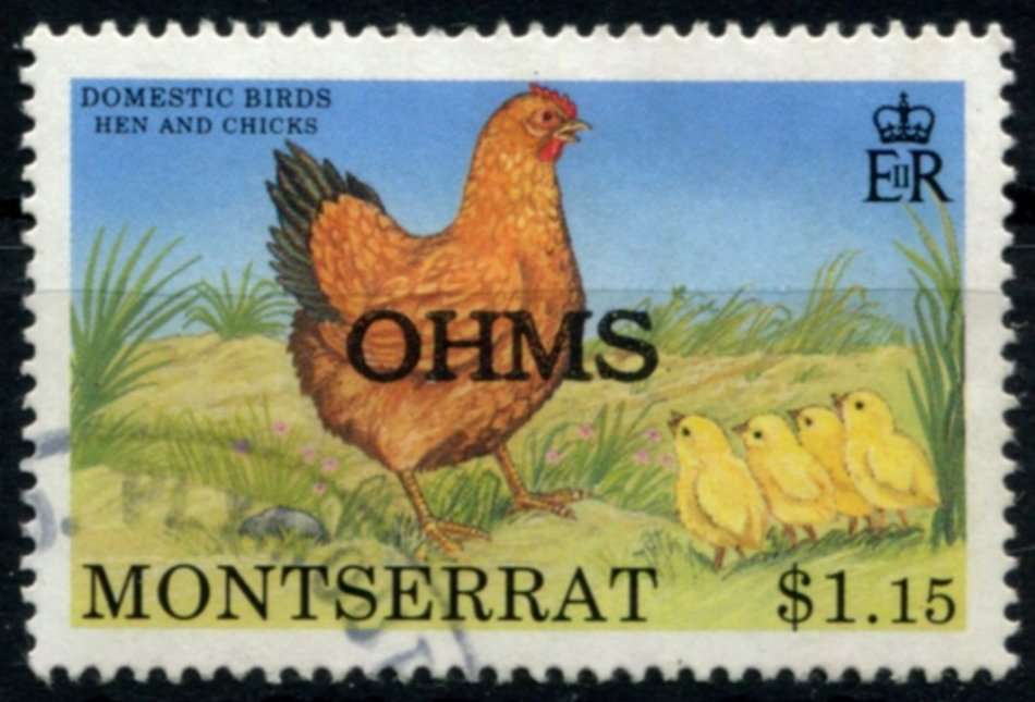 Montserrat - Birds - 1992 - Used
