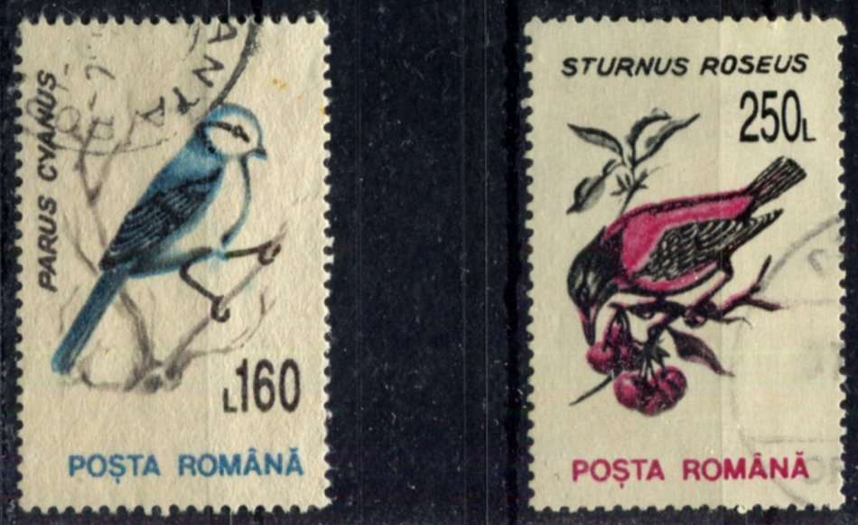 Romania - Birds - 1993 - Used
