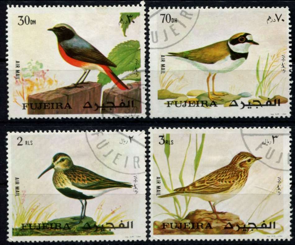 Fujeira - Birds - Used