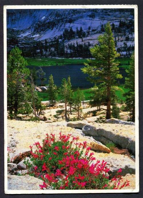 China - Modern Used Post Card