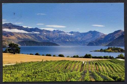 Germany - Modern Used Post Card