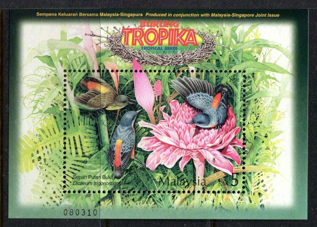 Malaysia - Birds - Miniature Sheet - 2002 - MNH