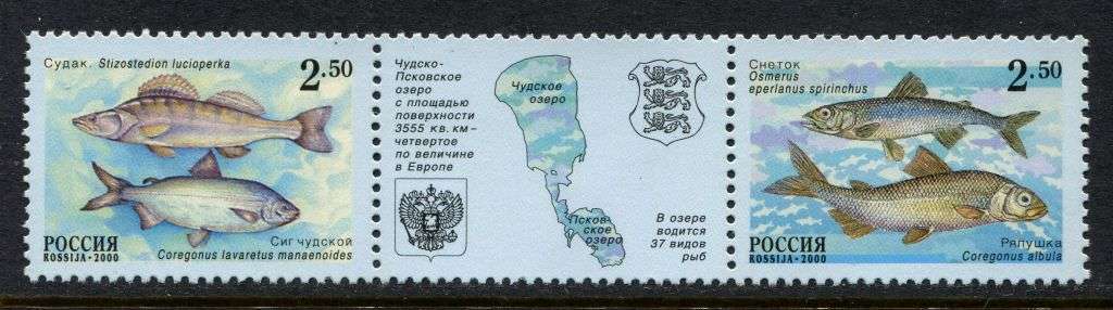 Russia - 2000 - MNH