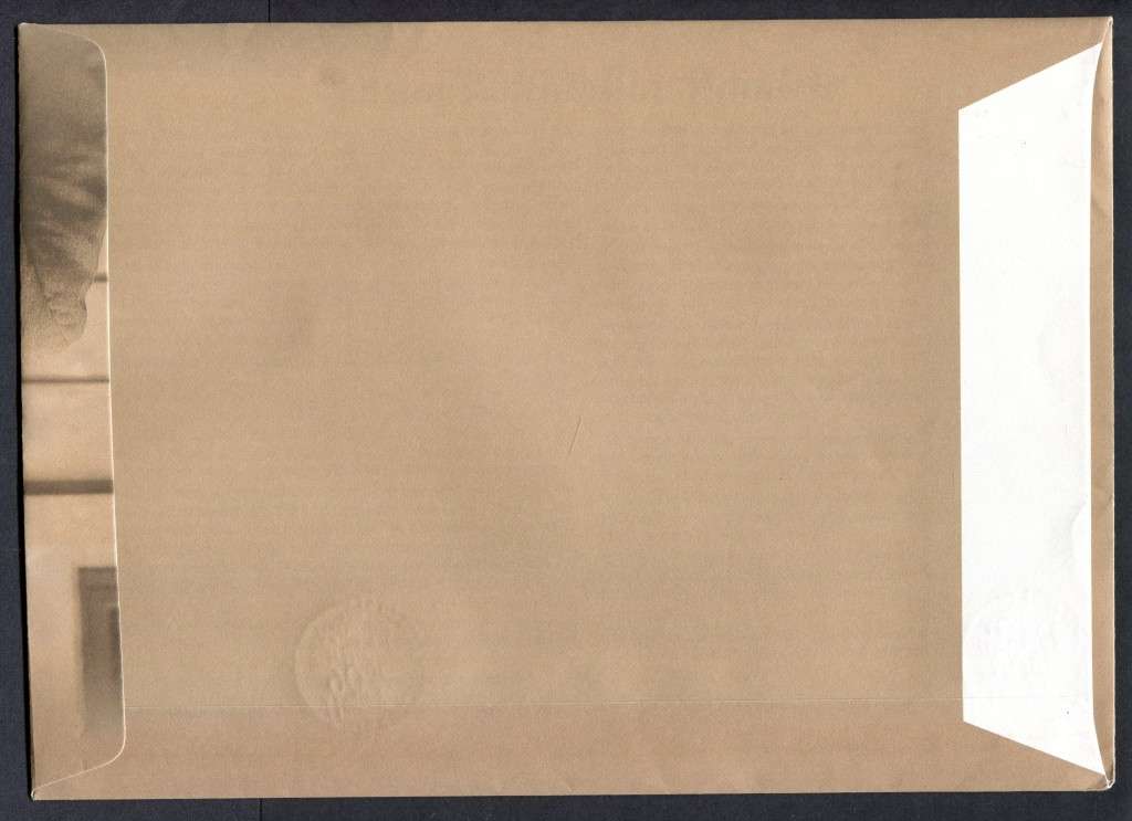 RSA - Miniature Sheet FDC 7.130 - 2008