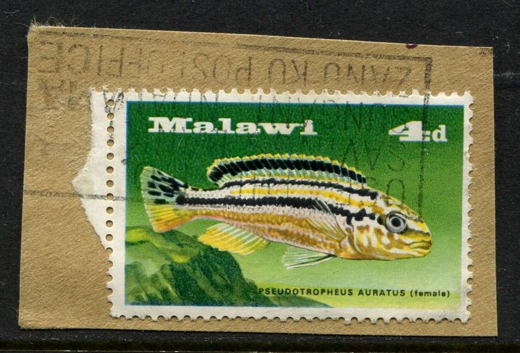 Malawi - Used on Piece