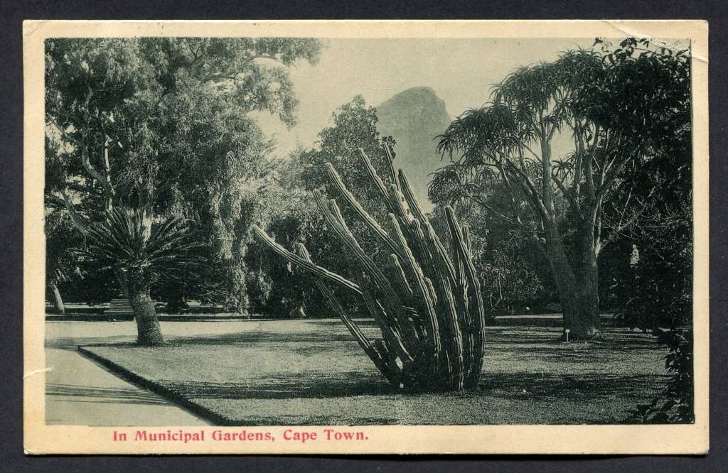 Cape of Good Hope - Post Card