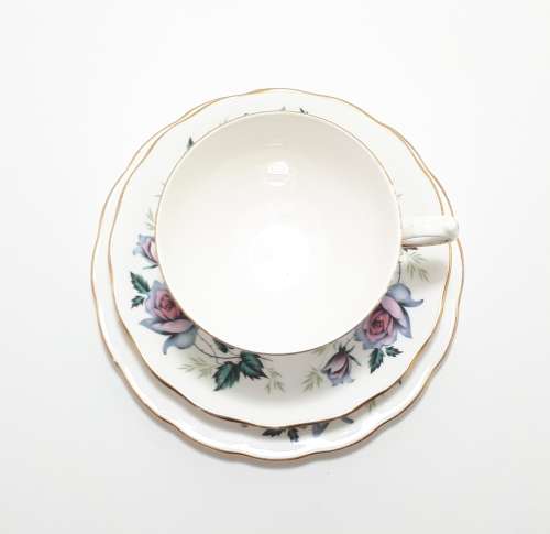 Queen Anne Bone China (Ridgway Potteries Ltd) Tea Trio (Cup, Saucer, Tea Plate) Pattern Unknown