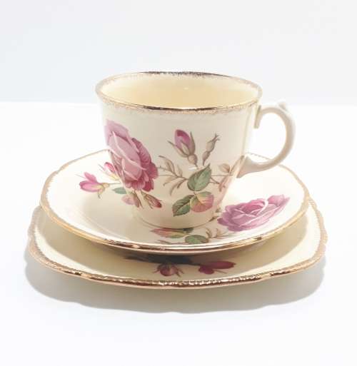 Royal Swan Cream Coloured With Rose Detail Tea Trio (Cup Saucer and Tea Plate)