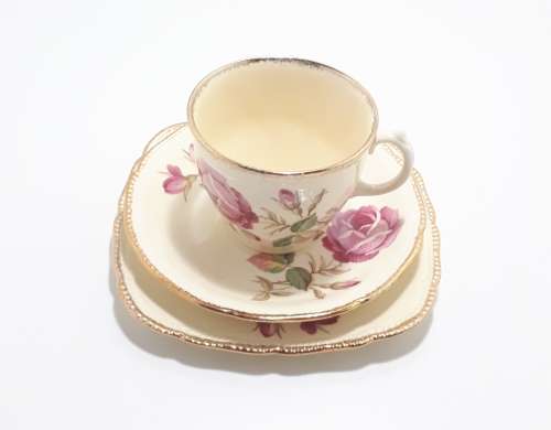 Royal Swan Cream Coloured With Rose Detail Tea Trio (Cup Saucer and Tea Plate)