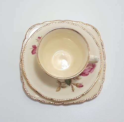 Royal Swan Cream Coloured With Rose Detail Tea Trio (Cup Saucer and Tea Plate)