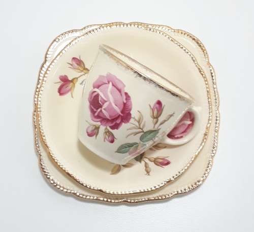Royal Swan Cream Coloured With Rose Detail Tea Trio (Cup Saucer and Tea Plate)
