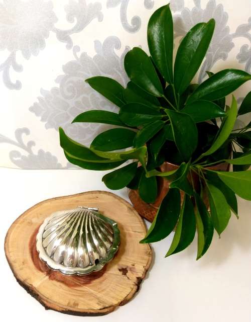 Vintage EPNS Silver plated Shell Shaped Butter Dish With Frosted Glass Liner