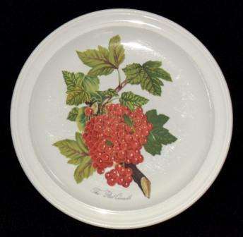 Large, Portmeirion, Pomona / Botanic Garden, dinner plate by Susan Williams Ellis 26.5 cm