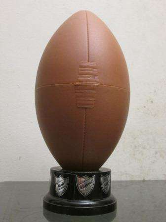 Retro vintage rugby ball trophy themed ice bucket (Border, S. Transvaal, Vrystaat, W. Province...)