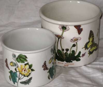 Set of two Portmeirion, "Botanic Garden" plant pots, designed by Susan Williams - Ellis, 1972