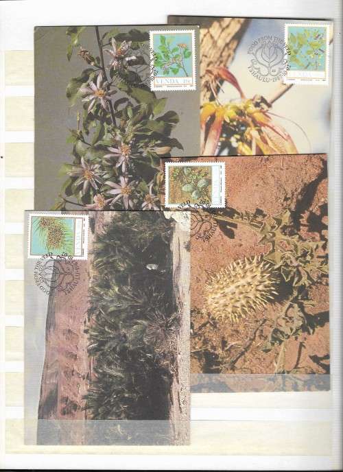 Lighthouse Stock book 8pg - Filled with RSA Homelands. Great cond Album crisp and clean - See Desc