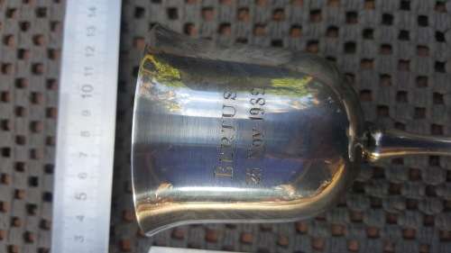 Silver Plated! Personalized Wine Goblet