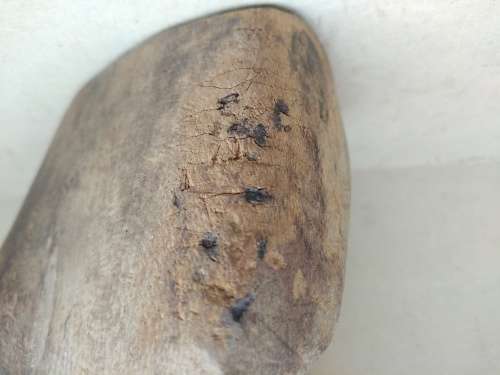 Africana! Hand Carved Wooden Bust - Shona Male