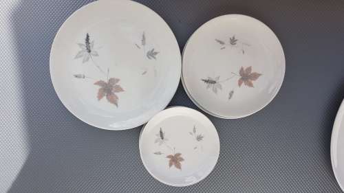 Vintage! Royal Doulton - English Translucent China - Tubling Leaves - 20 piece part service
