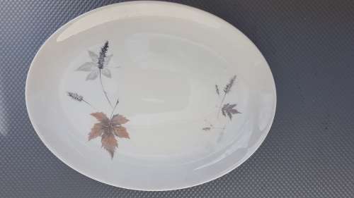 Vintage! Royal Doulton - English Translucent China - Tubling Leaves - 20 piece part service