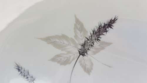 Vintage! Royal Doulton - English Translucent China - Tubling Leaves - 20 piece part service