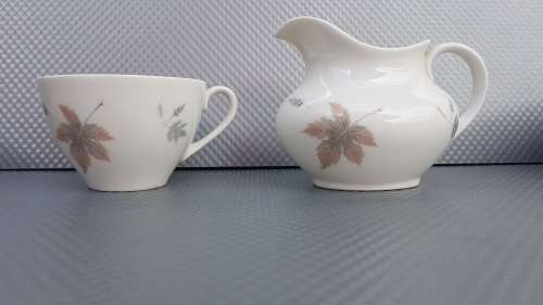 Vintage! Royal Doulton - English Translucent China - Tubling Leaves - 20 piece part service