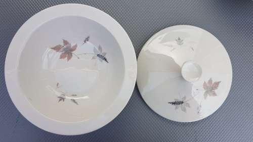 Vintage! Royal Doulton - English Translucent China - Tubling Leaves - 20 piece part service