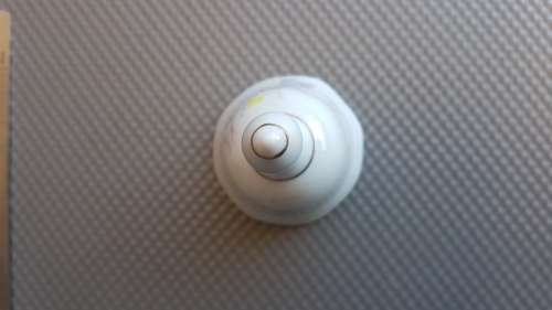 Vintage! - Taiwan - Porcelain Floral - Table Bell