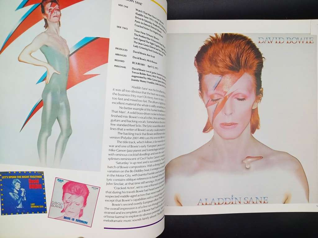 David Bowie: An Illustrated Record with color photos (Size - 30cm)