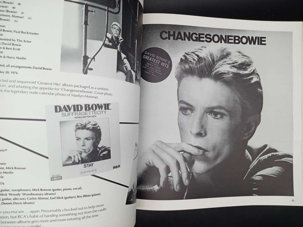 David Bowie: An Illustrated Record with color photos (Size - 30cm)