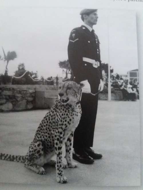 Rhodesian Light Infantryman 1961-80,Two New Condition Books