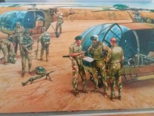 Rhodesian Light Infantryman 1961-80,Two New Condition Books