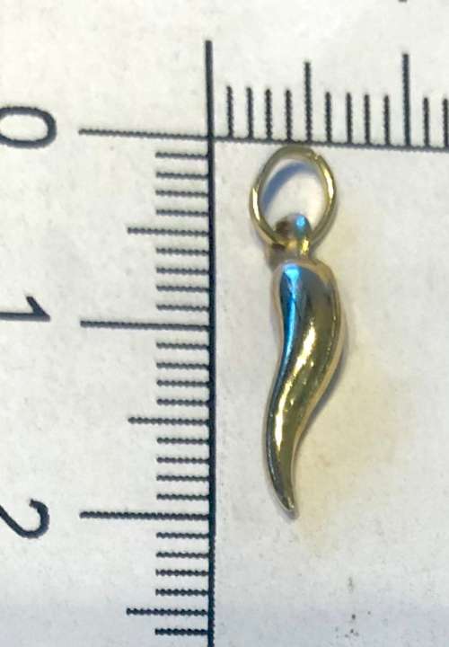 9K solid  9 carat Gold , stunning imported charm ------Lucky small horn