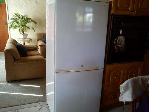 Samsung 460L Frost Free Fridge Freezer