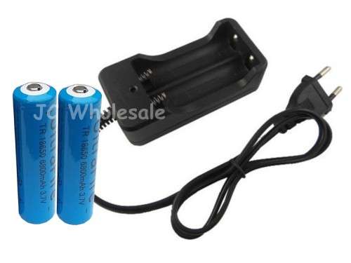 AC 110V 220V Dual Charger for 18650 3.7V Rechargeable  + 2 x 18650 Rechargeable Batteries