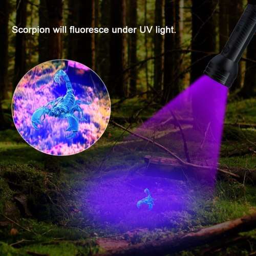 UV 51 LED Purple Torch Light