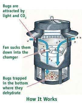 Anti mosquito led USB electric mosquito killer lamp UV night light anti fly mosquito zapper muggen k