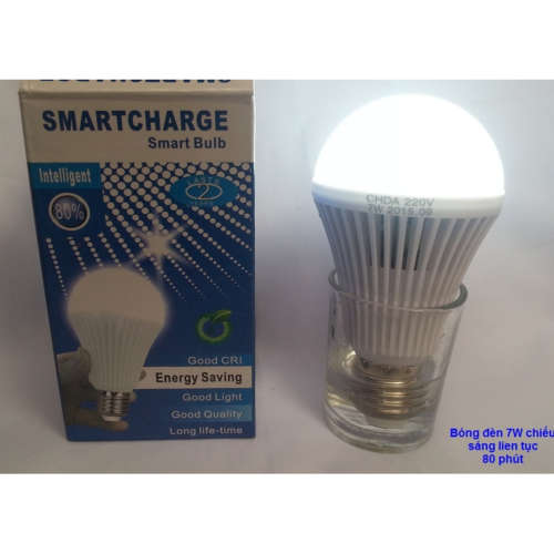 12 W SMART INTELLIGENT BULB