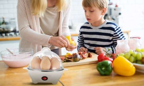 Electric Egg Boiler Stylish & Compact 7 Eggs To Boil Egg