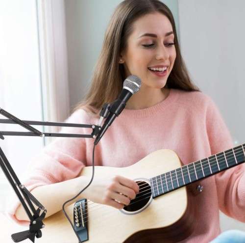 C-Clamp Adjustable Desk Microphone Stand(only stand)