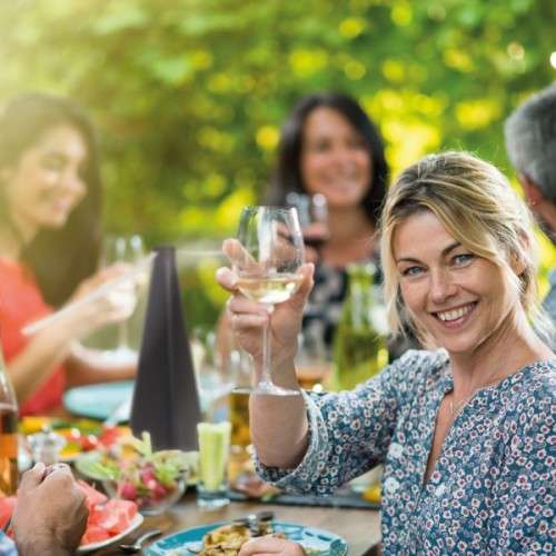 MULTI-FUNTIONFLY WEDLER