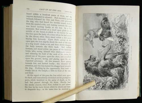 Cast Up By The Sea. Baker., Sir Samuel W. illustrations by Huard