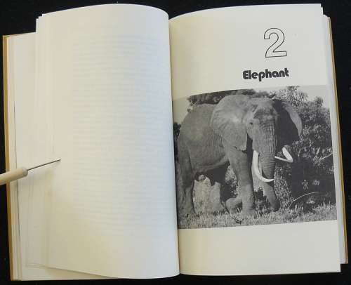 Death In The Long Grass (A Big game hunter's adventures in the Bush). Capstick, Peter Hathaway