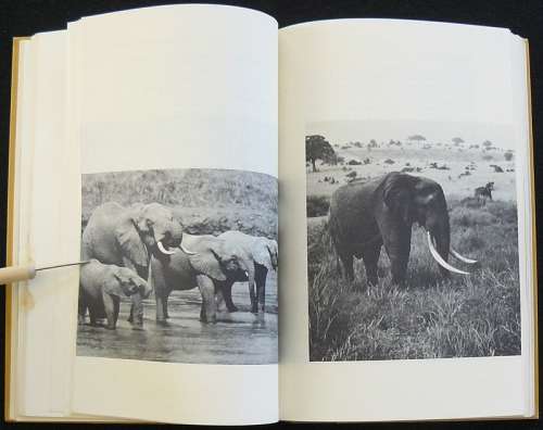 Death In The Long Grass (A Big game hunter's adventures in the Bush). Capstick, Peter Hathaway