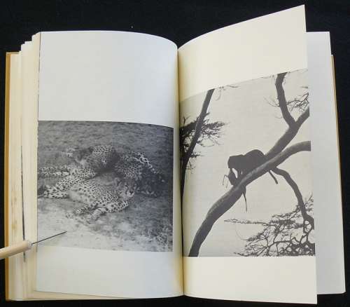 Death In The Long Grass (A Big game hunter's adventures in the Bush). Capstick, Peter Hathaway