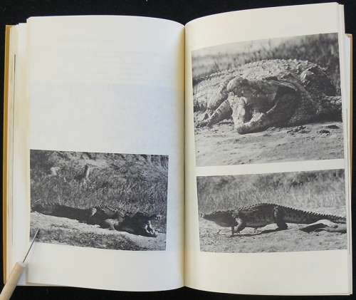 Death In The Long Grass (A Big game hunter's adventures in the Bush). Capstick, Peter Hathaway