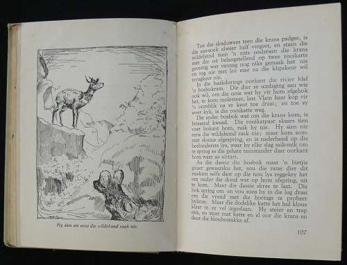 VLAM Van Die Bantomberge - Hobson, G. C. and S.B. (George and Samuel)  Illust. Eleanor Esmonde-White