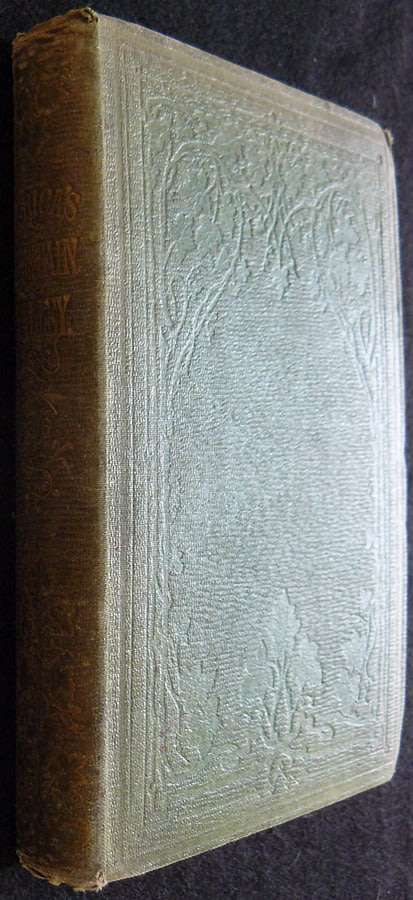 Africa`s Mountain Valley, Or The Church In Regents Town, West Africa. Johnson. Rev. W. A. B.