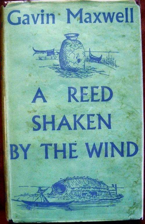 A Reed Shaken By the Wind, Maxwell, Gavin